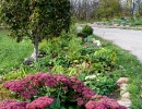garden-1