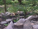 garden-10