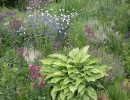 garden-25