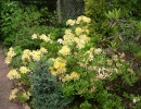 garden-3