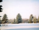 garden-36