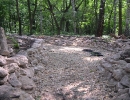 garden-4
