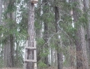 zoolog-12