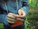 zoolog-15