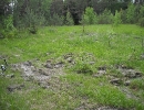 zoolog-2