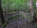 zoolog-3