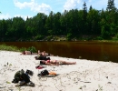 zoolog-5