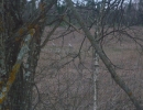 zoolog-7