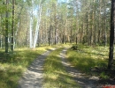 img_d1-2